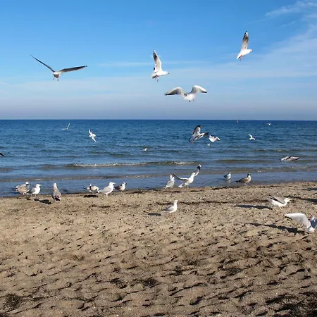 Zum Verweilen Boltenhagen (Ostseebad)